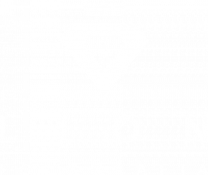 Lion Fotografia